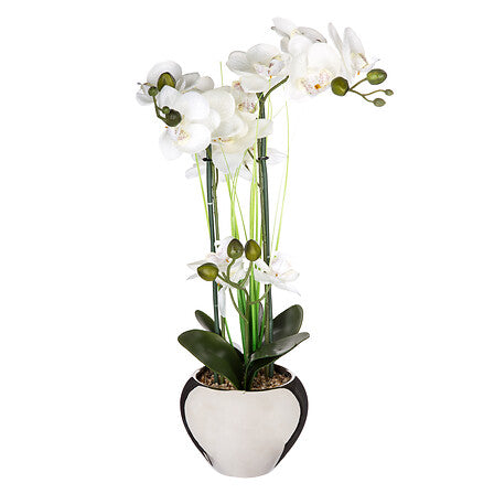 Floare decorativa, orhidee cu ghiveci argintiu - Atmosphera