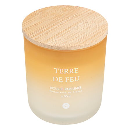 Lumanare parfumata "Terre de Feu" - Buchet de liliac, 255 g - Atmosphera