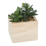 Planta artificiala mica in ghiveci din lemn, modele asortate, H 14 cm